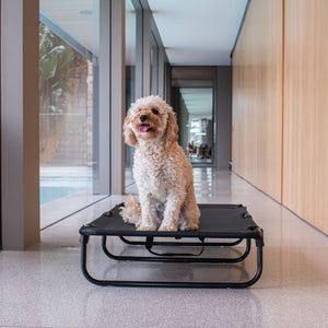 Foldable Elevated Dog Bed