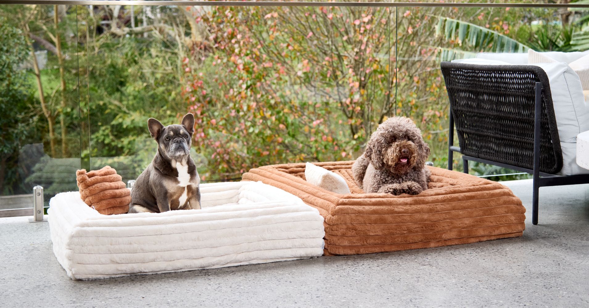 Two dogs on outdoor furniture with a garden background