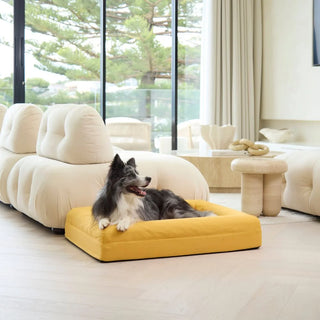 Cooling Dog Bed Amber Memory Foam Cooling