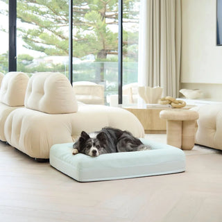 Cooling Dog Bed Eucalyptus Memory Foam Cooling