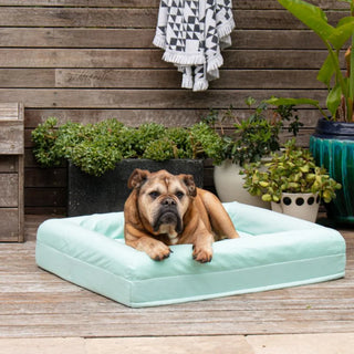 Cooling Dog Bed Eucalyptus Memory Foam Cooling
