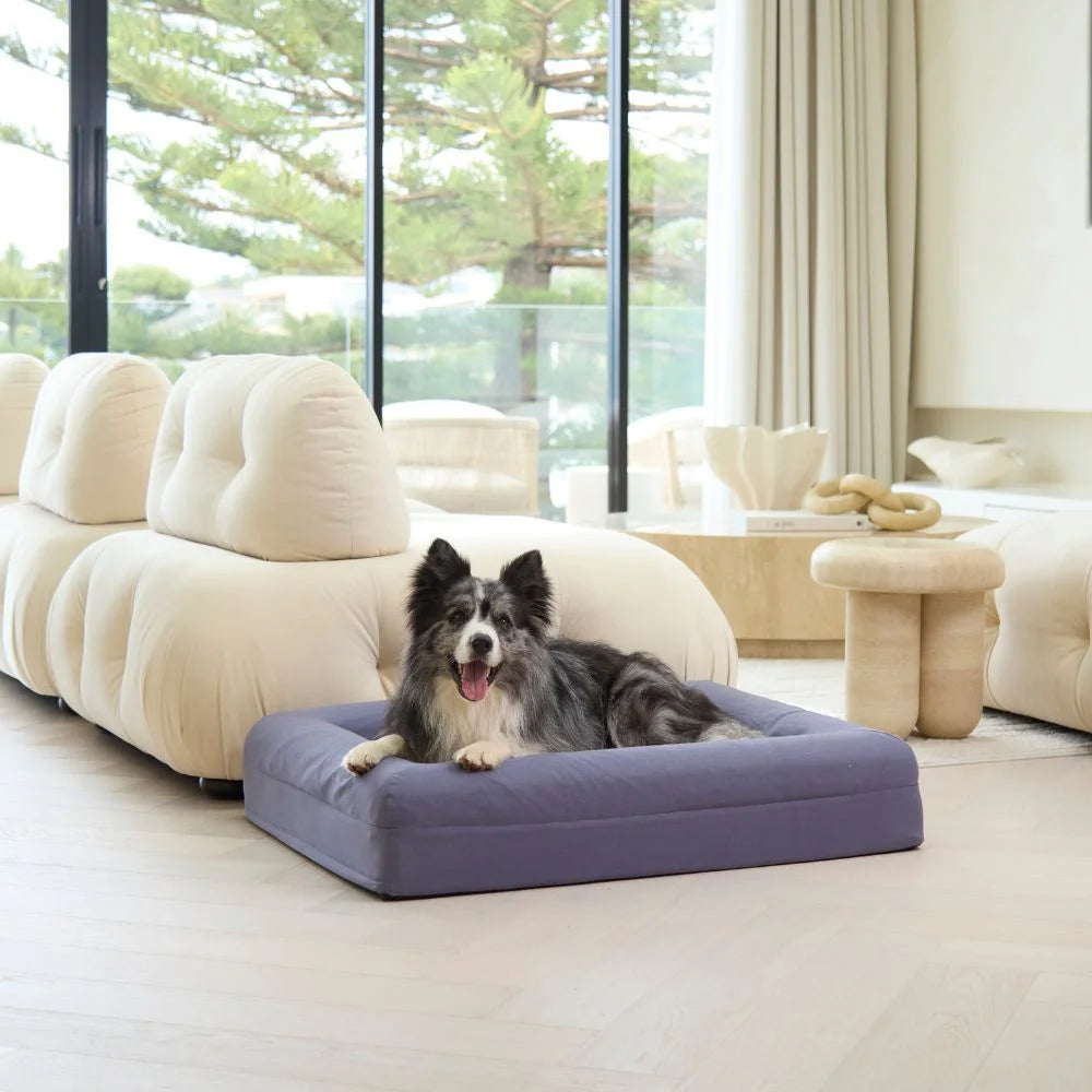 Cooling Dog Bed Midnight Memory Foam Cooling