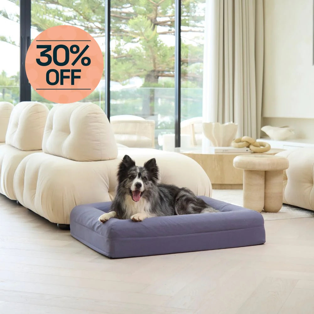 Cooling Dog Bed Midnight Memory Foam Cooling