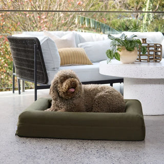 Cooling Dog Bed Seaweed Memory Foam Cooling