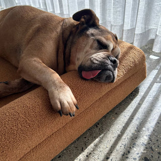 Cover Polar Fleece Golden Brown Cover: Polar Fleece