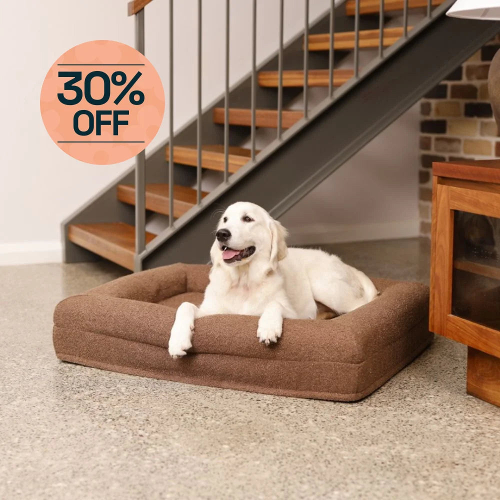 Memory Foam Dog Bed - Boucle Cocoa Bouclé
