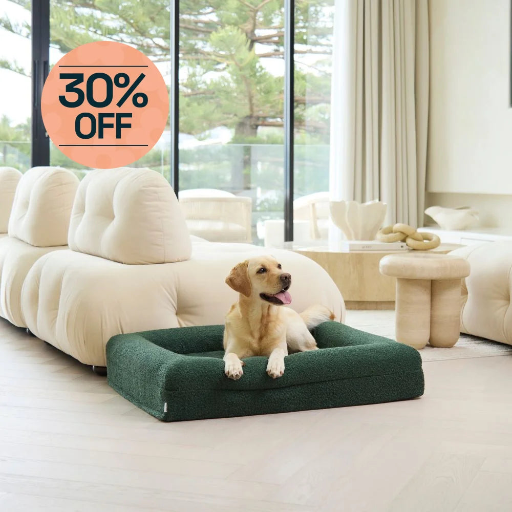 Memory Foam Dog Bed - Boucle Forest Green Bouclé