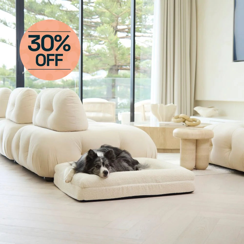 Memory Foam Dog Bed - Boucle Ivory Bouclé