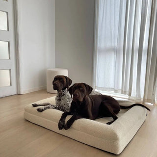 Memory Foam Dog Bed - Boucle Ivory Bouclé