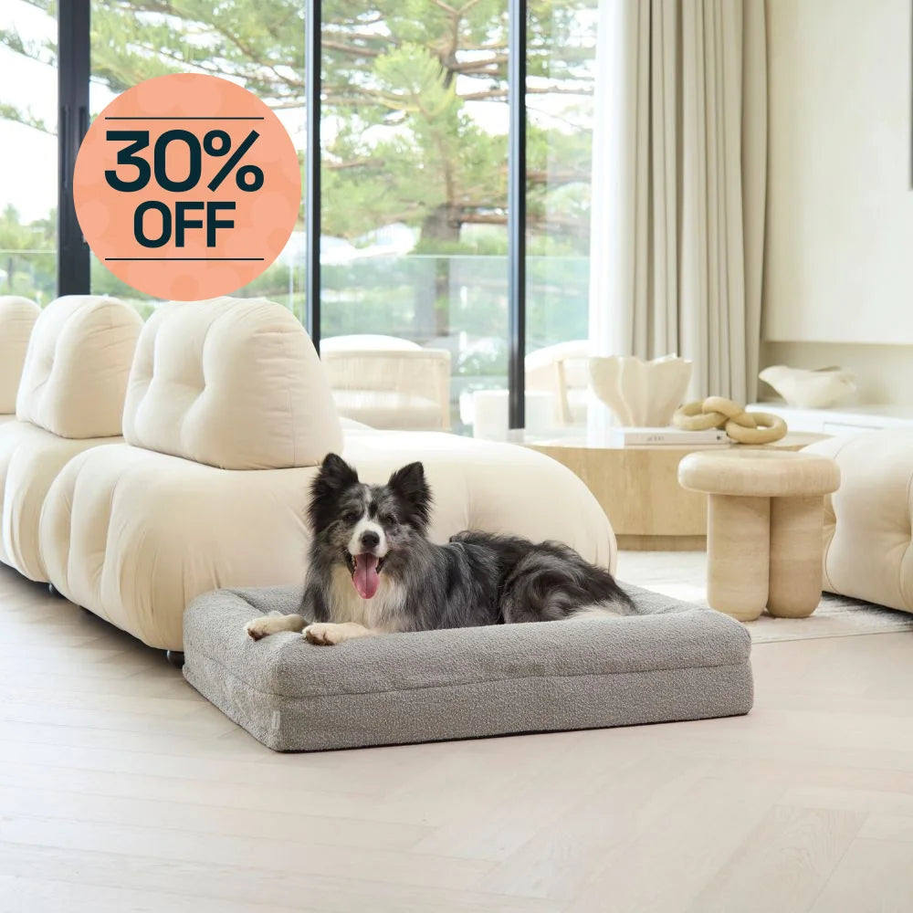 Memory Foam Dog Bed - Boucle Pebble Bouclé