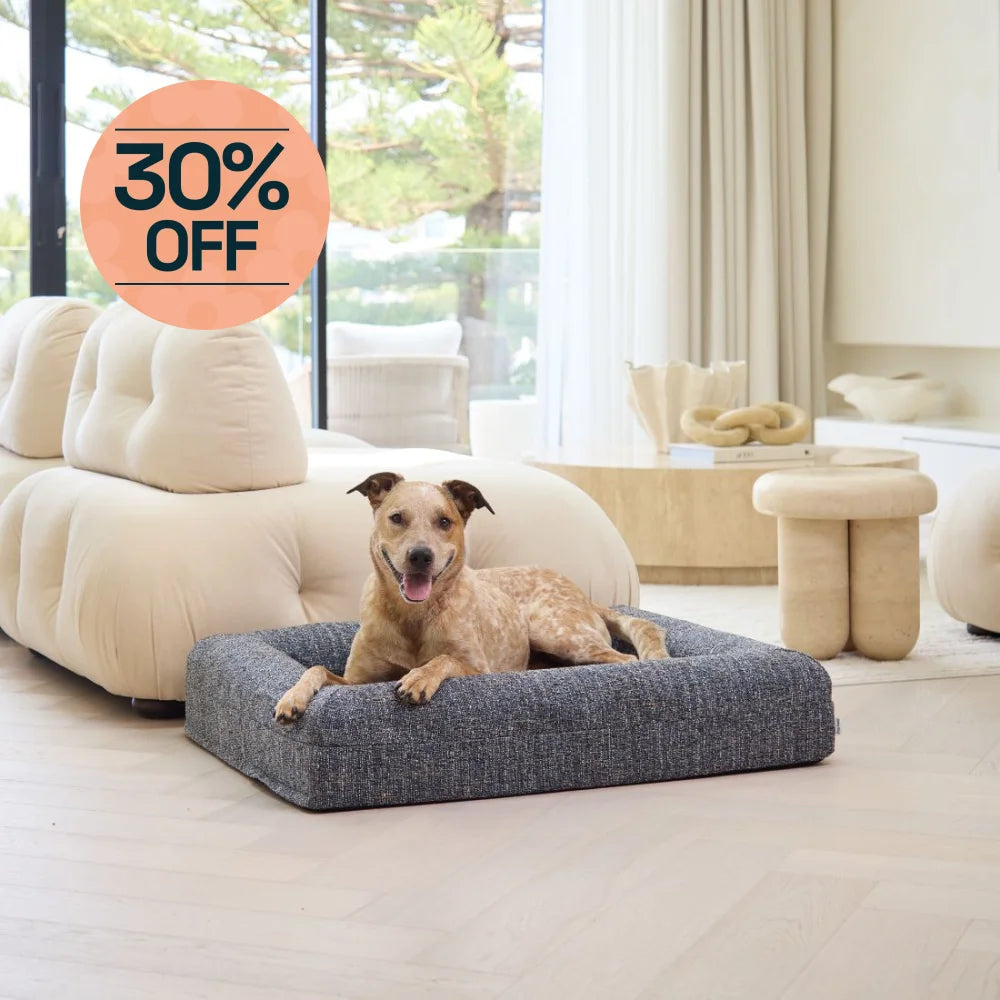 Memory Foam Dog Bed - Boucle Speckle Blue Bouclé