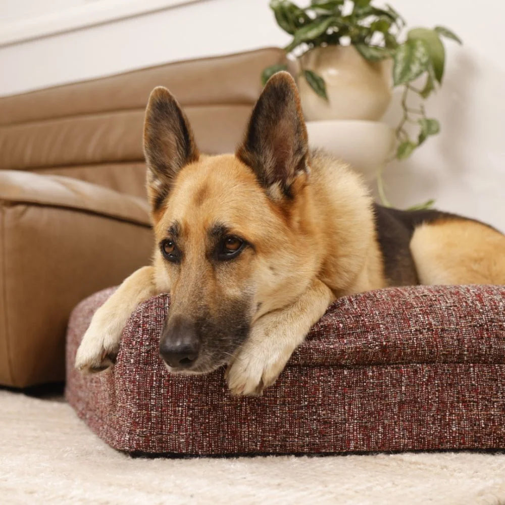 Memory Foam Dog Bed - Boucle Speckle Red Bouclé