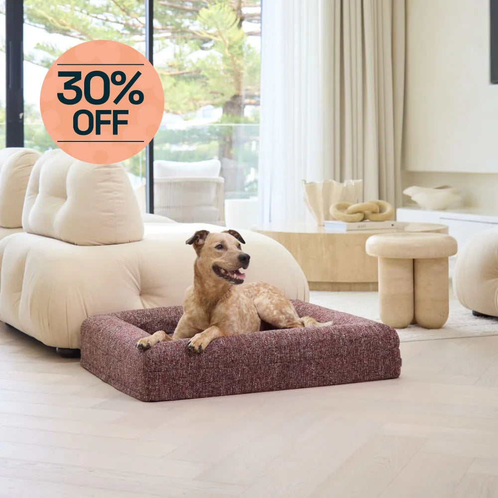 Memory Foam Dog Bed - Boucle Speckle Red Bouclé