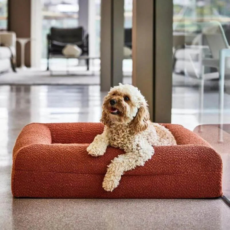 Memory Foam Dog Bed - Boucle Terracotta Bouclé