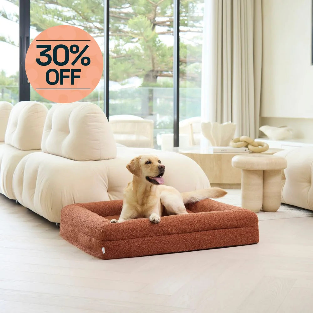Memory Foam Dog Bed - Boucle Terracotta Bouclé