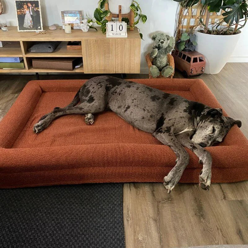 Memory Foam Dog Bed - Boucle Terracotta Bouclé