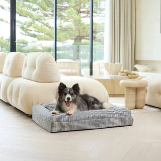 Memory Foam Dog Bed Canvas Navy Lines Canvas