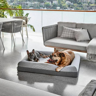 Memory Foam Dog Bed Plush Grey Plush