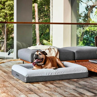 Memory Foam Dog Bed Plush Grey Plush