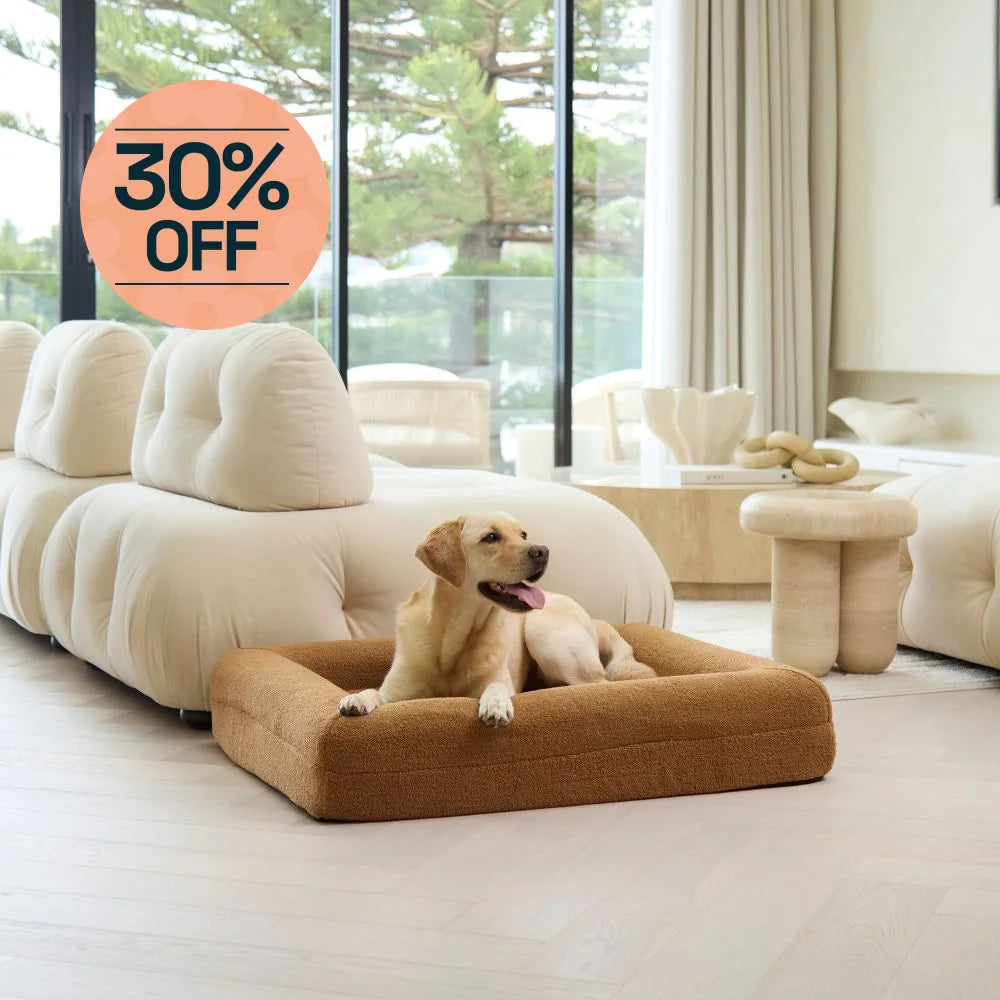Memory Foam Dog Bed - Polar Fleece Golden Brown Polar Fleece