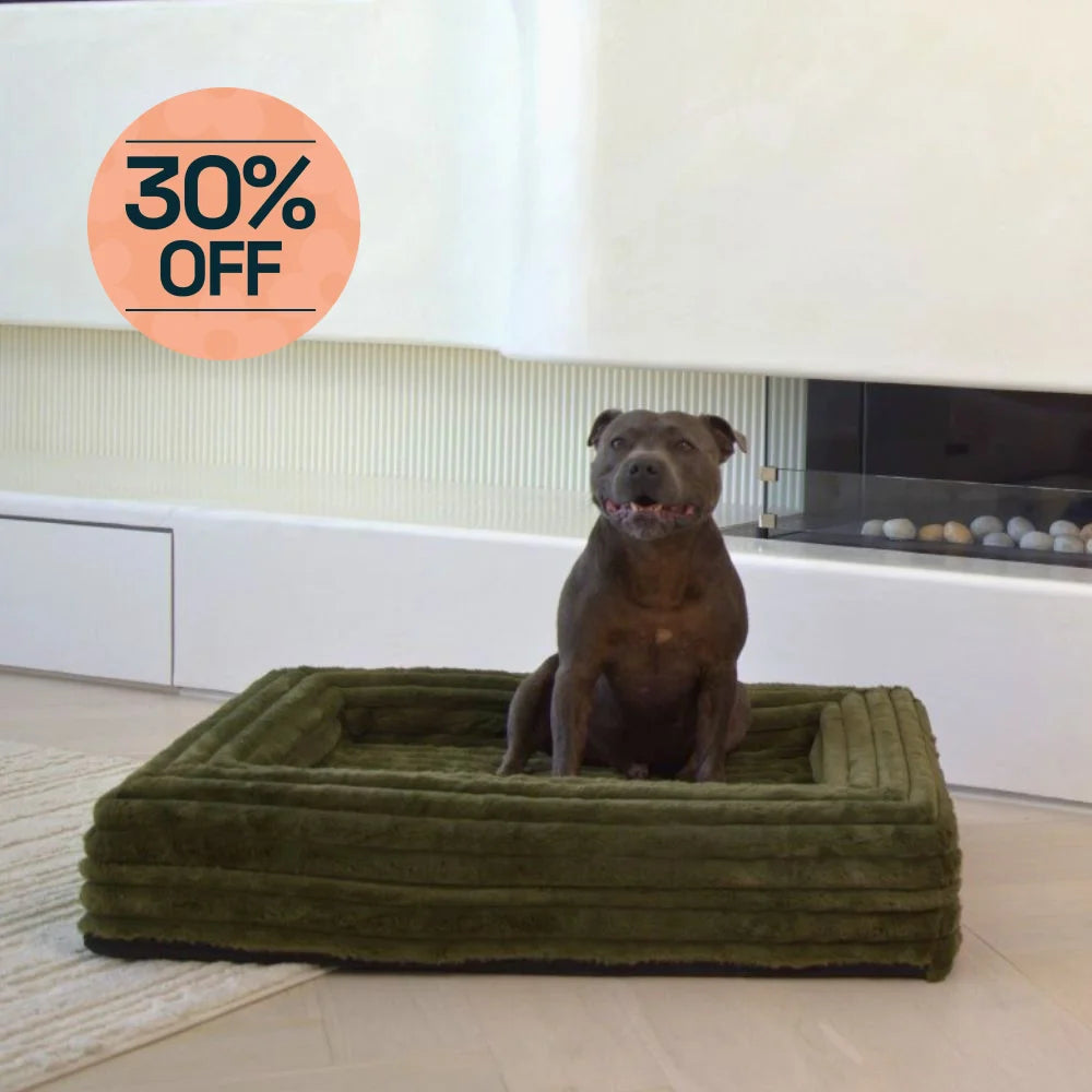 Memory Foam Dog Bed Puffer Fern Puffer