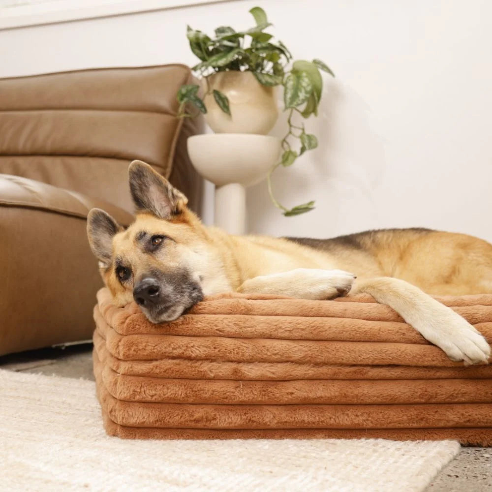 Memory Foam Dog Bed Puffer Nutmeg Puffer