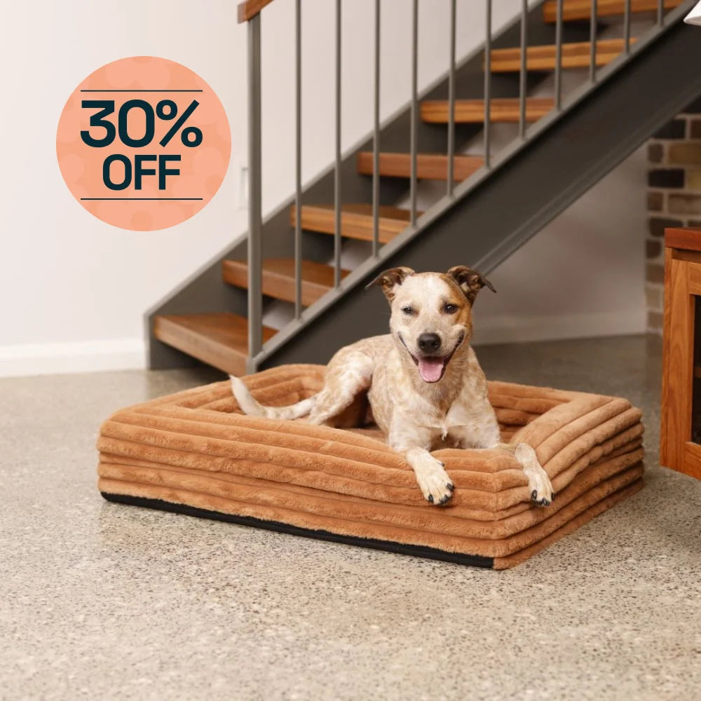 Memory Foam Dog Bed Puffer Nutmeg Puffer