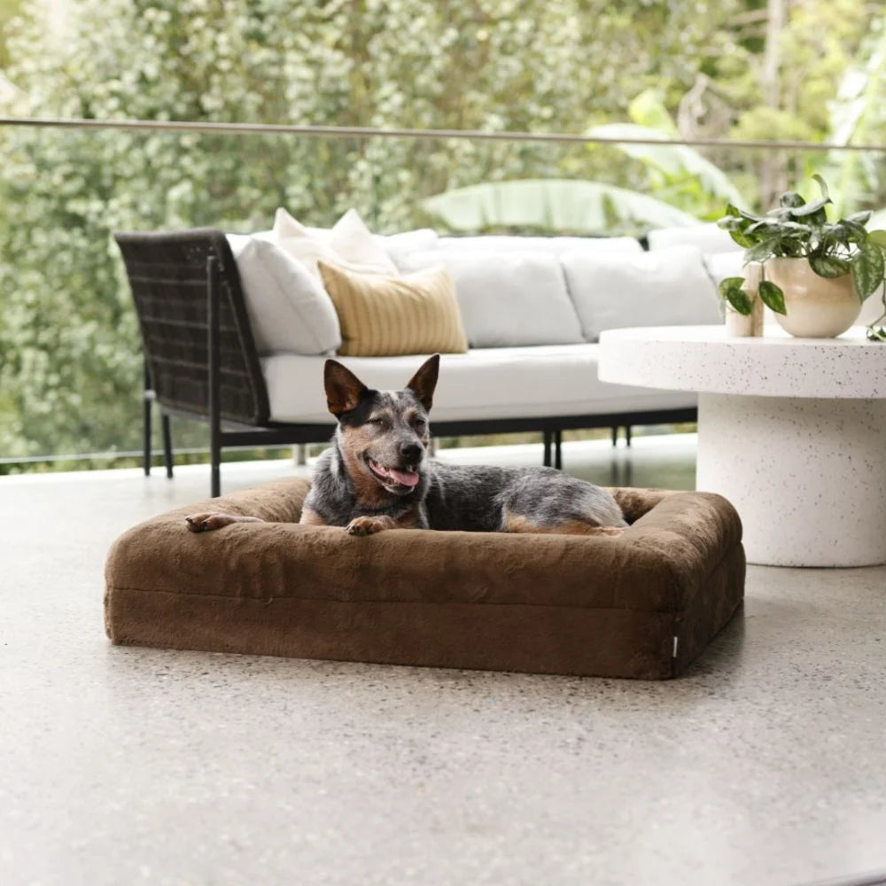 Memory Foam Dog Bed Rabbit Fur Chocolate Rabbit Fur