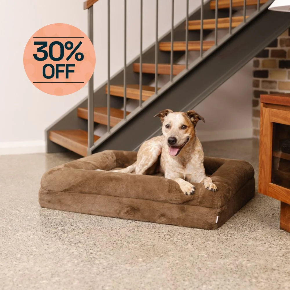 Memory Foam Dog Bed Rabbit Fur Chocolate Rabbit Fur