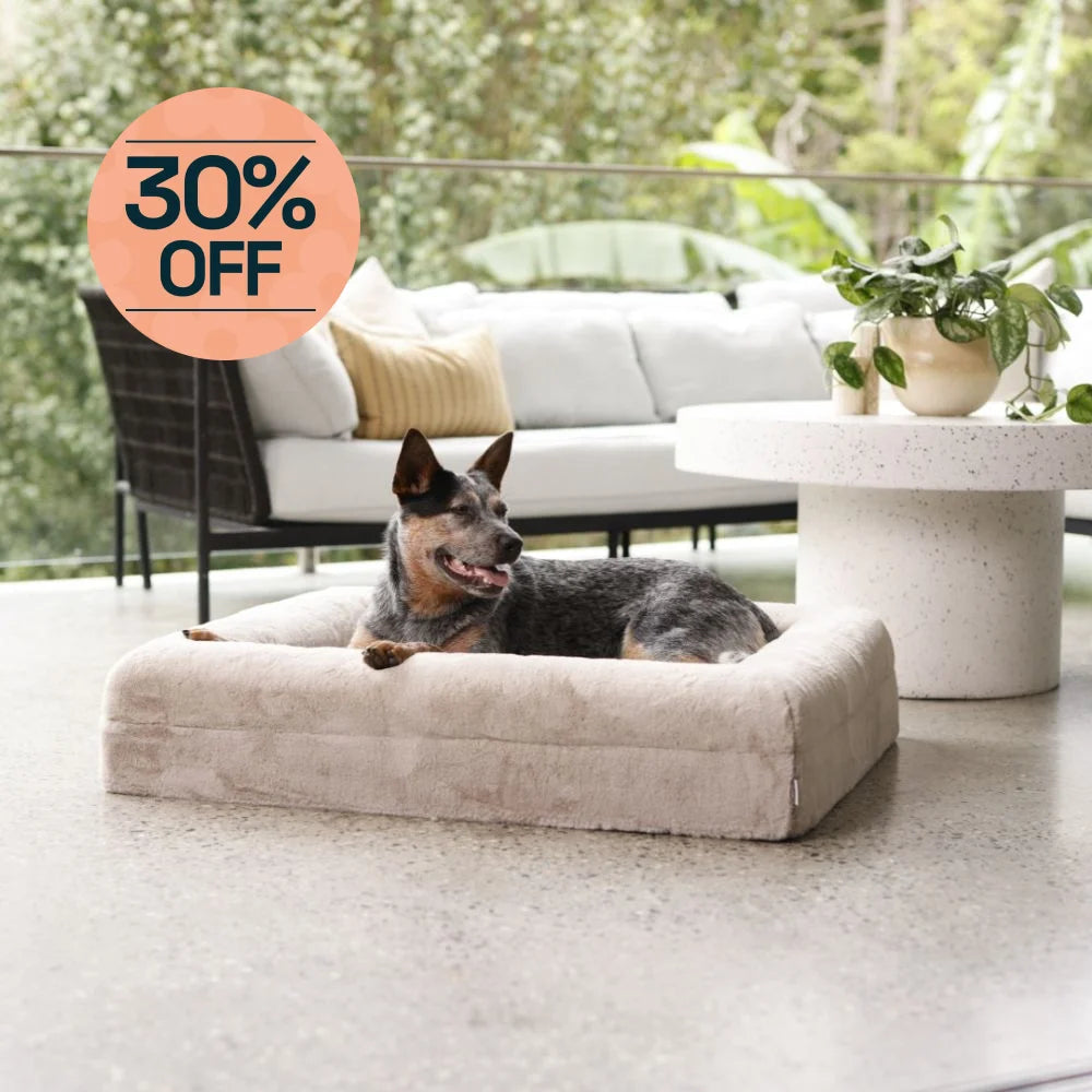 Memory Foam Dog Bed Rabbit Fur Pearl Rabbit Fur