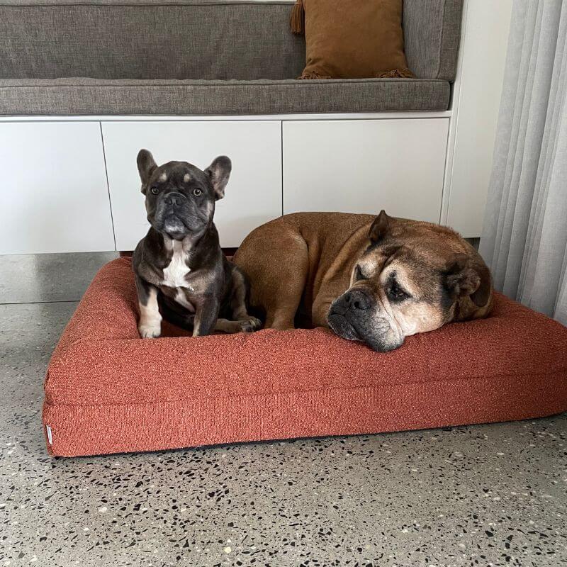 Size Guide Orthopedic Dog Bed Dazy Dog