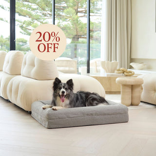 Memory Foam Dog Bed - Boucle Pebble