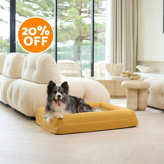 Memory Foam Dog Bed - Boucle Mustard