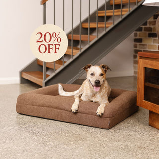 Memory Foam Dog Bed - Boucle Cocoa