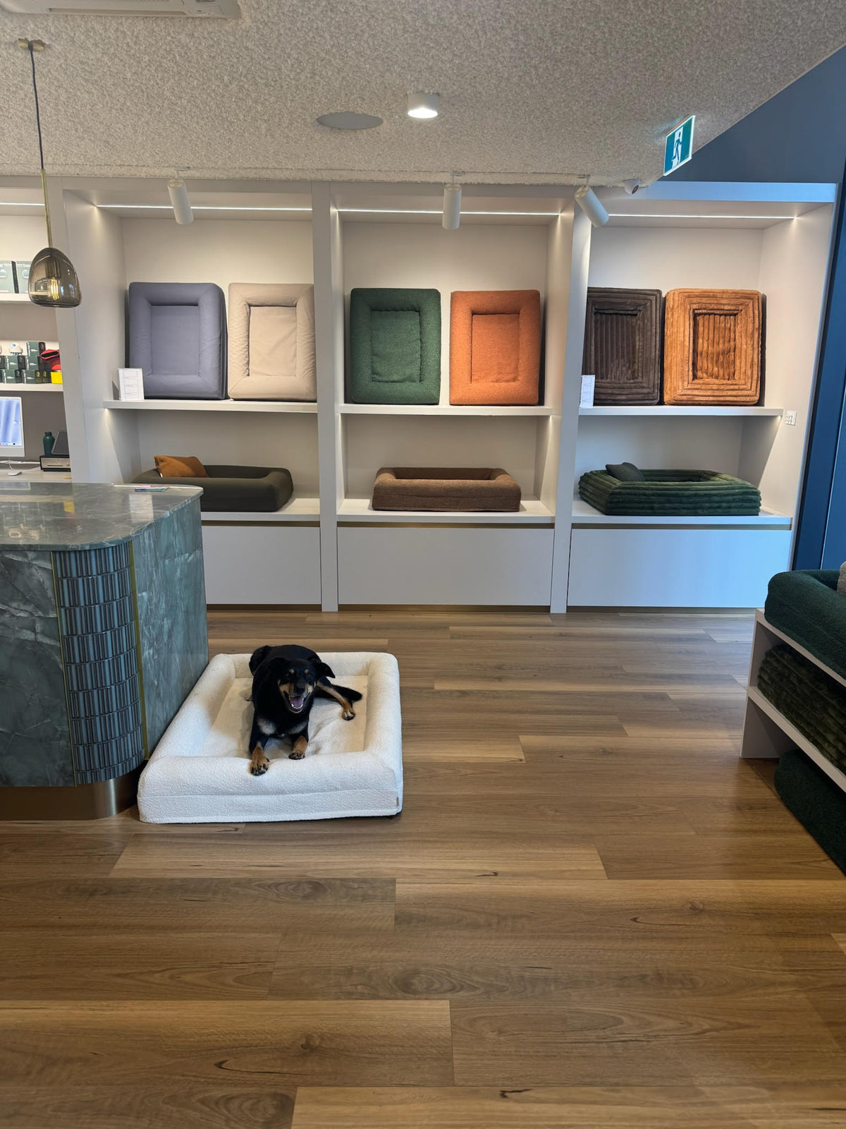 Our flagship store opened in 2025.