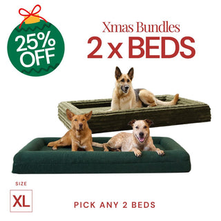 2 Extra Large Beds Bundle