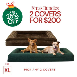 2 for $200 Covers - Extra Large
