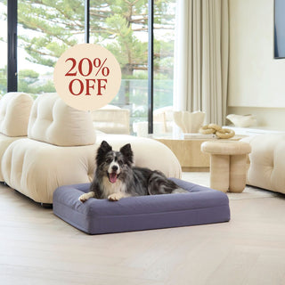 Cooling Dog Bed - Midnight Memory Foam