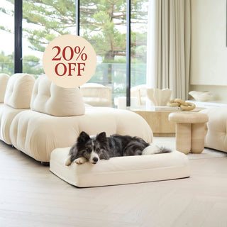 Cooling Dog Bed - Natural Memory Foam