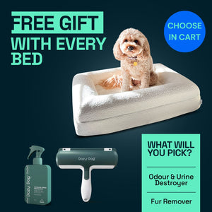 Memory Foam Dog Bed - Shag Cream