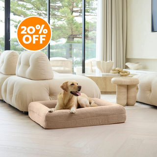 Memory Foam Dog Bed - Polar Fleece Clay