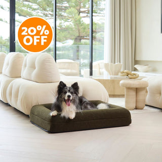 Memory Foam Dog Bed - Polar Fleece Olive