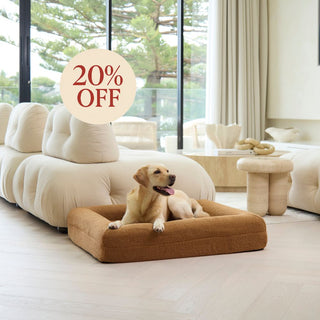 Memory Foam Dog Bed - Polar Fleece Golden Brown