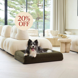 Memory Foam Dog Bed - Polar Fleece Olive