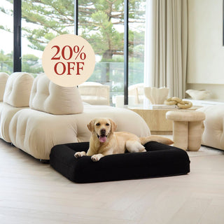 Memory Foam Dog Bed - Polar Fleece Black