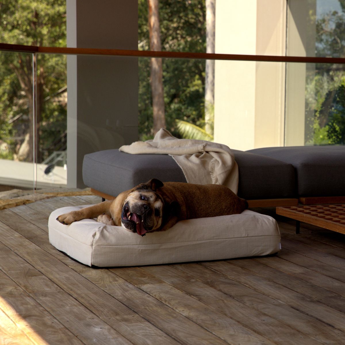 Ll bean dog couch cover clearance