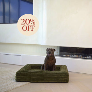Memory Foam Dog Bed - Puffer Fern