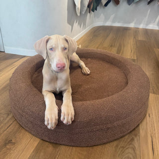 [PRESALE] Round Orthopaedic Dog Bed