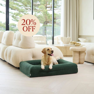 Memory Foam Dog Bed - Boucle Forest Green