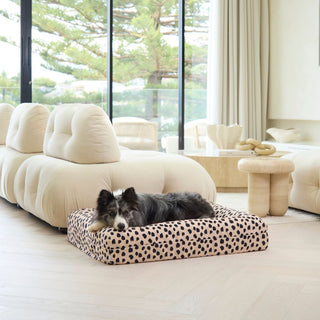 Memory Foam Dog Bed - Canvas Black Sands